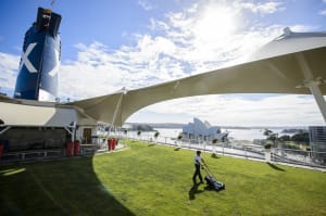 Celebrity Solstice Lawn